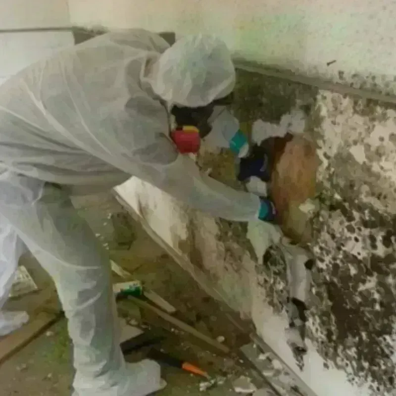 Mold Remediation and Removal in Kearny, NJ