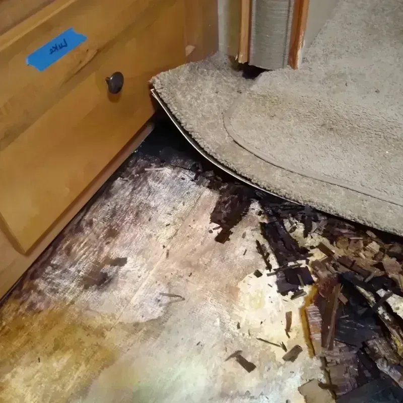 Wood Floor Water Damage in Kearny, NJ